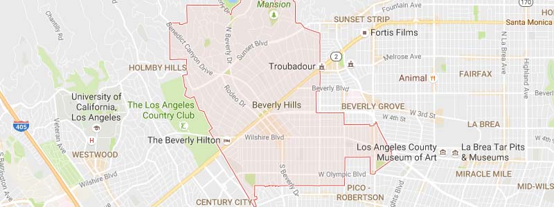 Beverly Hills Private Investigator 